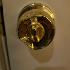 Meet your Posher, Lou